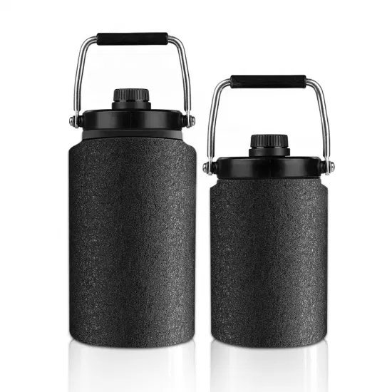 Eine halbe Gallone Bier-Growler-Wasserflaschenflasche, 64 Unzen, doppelwandiger Edelstahl-Bier-Growler mit Klappdeckel